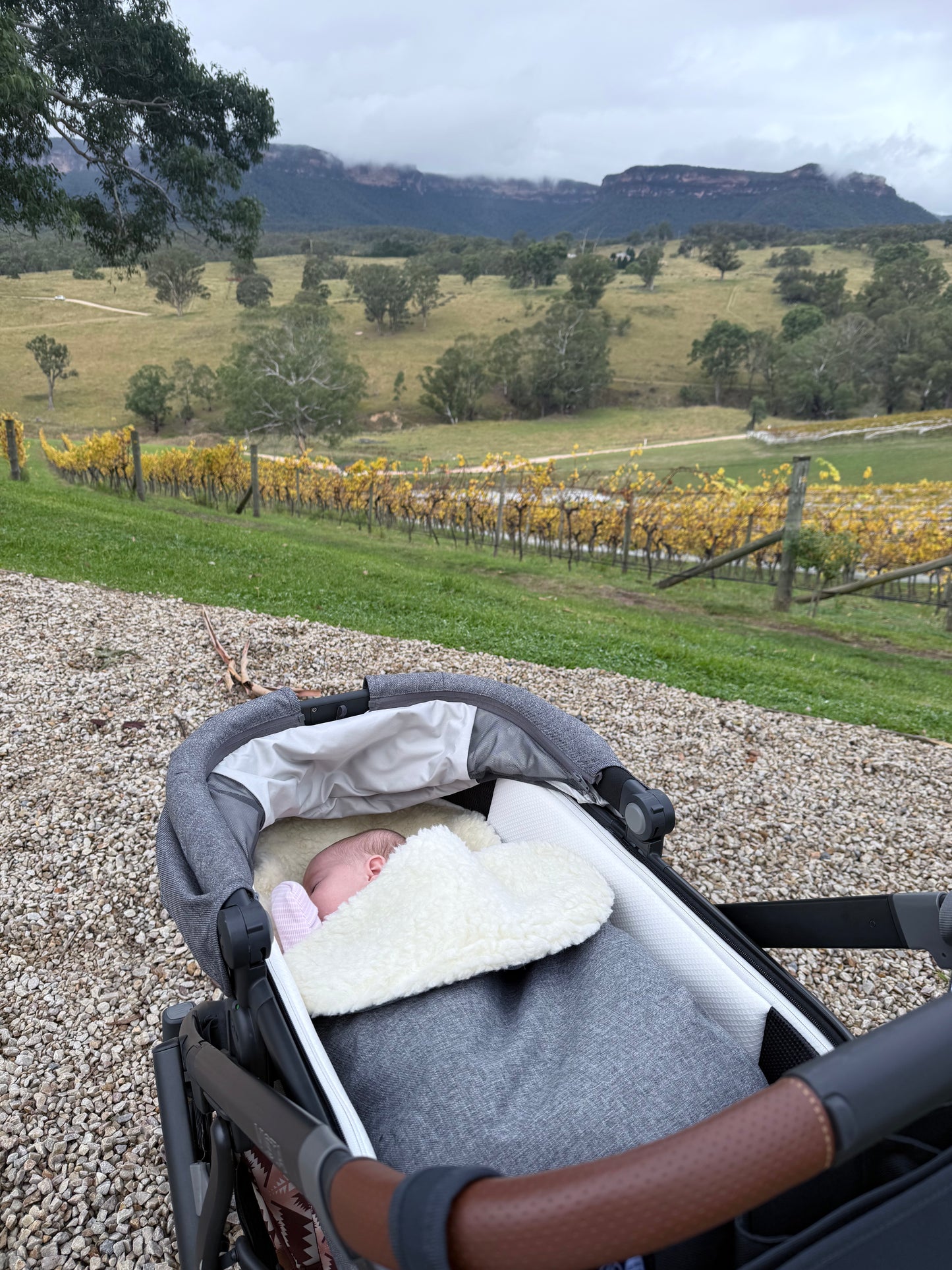 Classic Wool Footmuff 2in1 Pram Liner